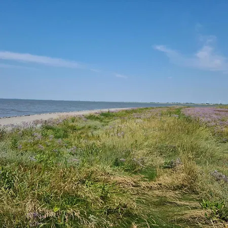 Dom wakacyjny Haus Vier Pfoten - Hundefreundliches An Der Nordsee Schweiburg