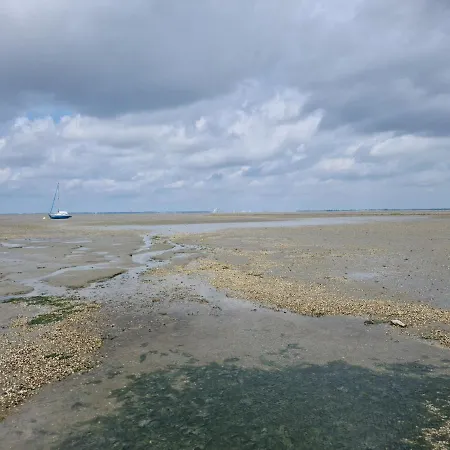 Haus Vier Pfoten - Hundefreundliches An Der Nordsee *
