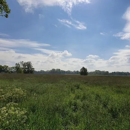 بيت للعطل Haus Vier Pfoten - Hundefreundliches An Der Nordsee *