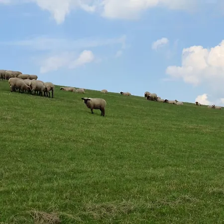 Haus Vier Pfoten - Hundefreundliches An Der Nordsee بيت للعطل