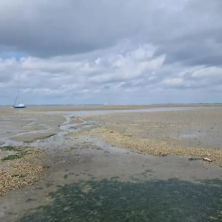 Haus Vier Pfoten - Hundefreundliches An Der Nordsee Ferienhaus *