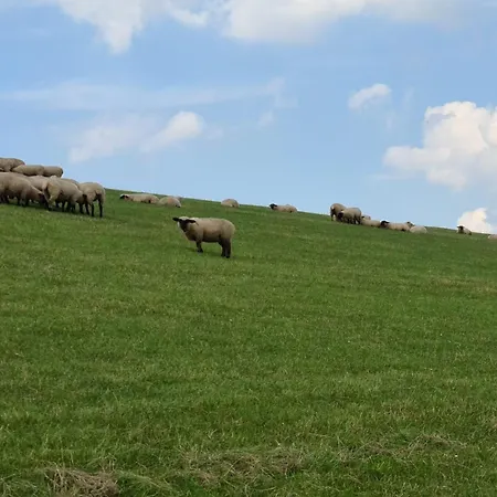 Feriehus Haus Vier Pfoten - Hundefreundliches An Der Nordsee *