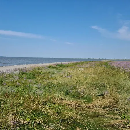 Haus Vier Pfoten - Hundefreundliches An Der Nordsee Feriehus Schweiburg