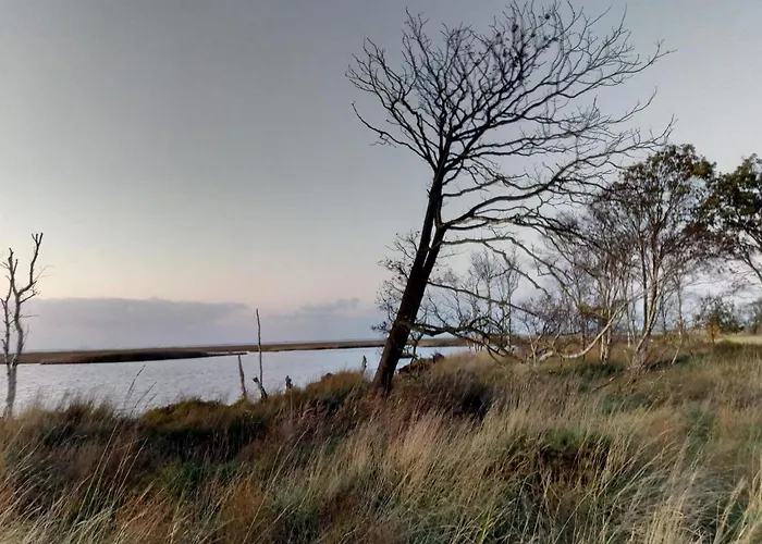 Casa de Férias Haus Vier Pfoten - Hundefreundliches An Der Nordsee Schweiburg