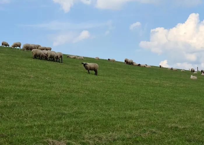 Haus Vier Pfoten - Hundefreundliches An Der Nordsee Casa de Férias
